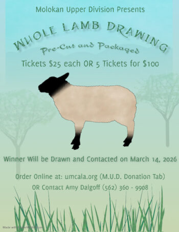 M.U.D Lamb Whole Lamb Drawing